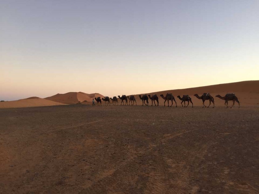 2º-dia-pegando-camelos-pro-suposto-por-do-sol