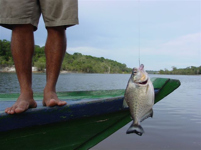 Pescaria na Amazônia Amazon Eco Park