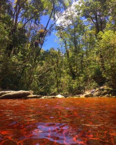 Cachoeira da Água Vermelha (Foto: @lucio_barros)